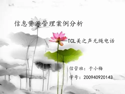 信息资源管理案例分析