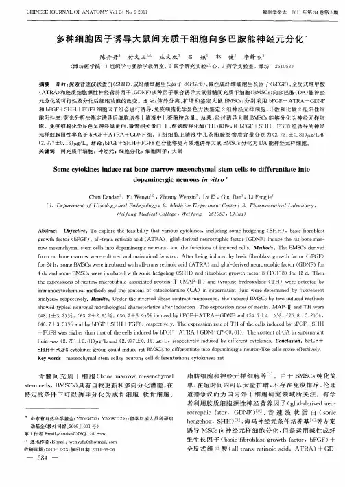 多种细胞因子诱导大鼠间充质干细胞向多巴胺能神经元分化