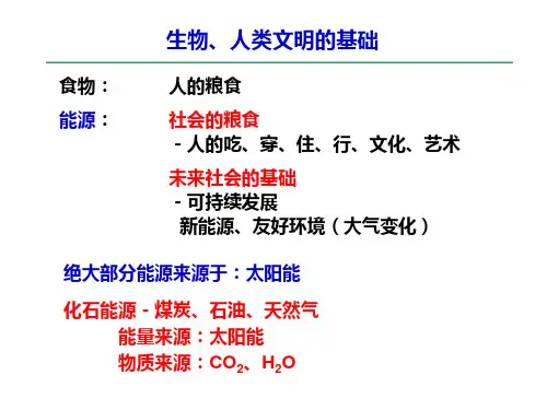 概论及煤的基本性质