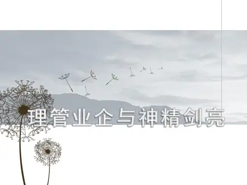 亮剑精神与企业管理