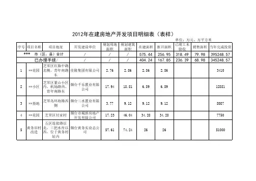 2012项目明细表样