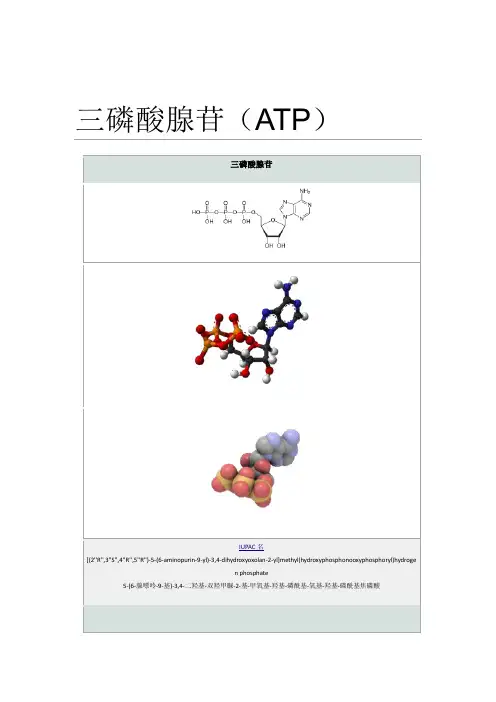 三磷酸腺苷(ATP)
