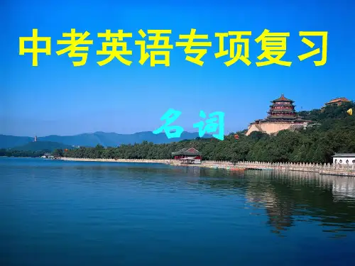 中考英语专项复习--名词
