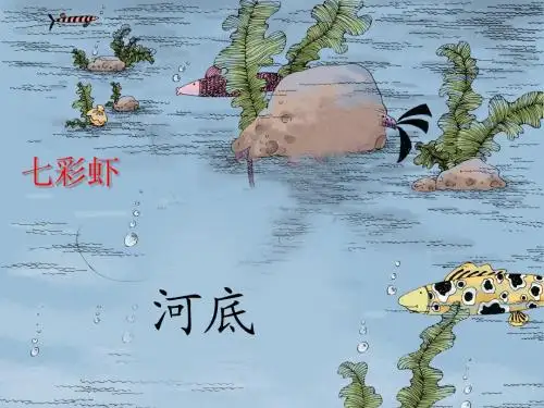 七彩虾