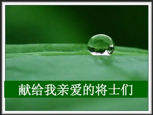 激励专题存在就是成功16页