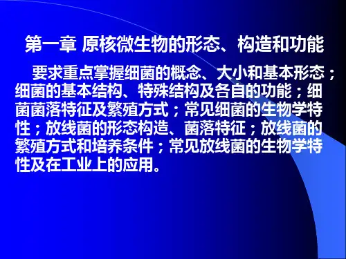 第一章 原核微生物的形态、构造和功能