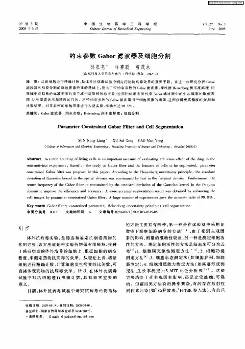 约束参数Gabor滤波器及细胞分割