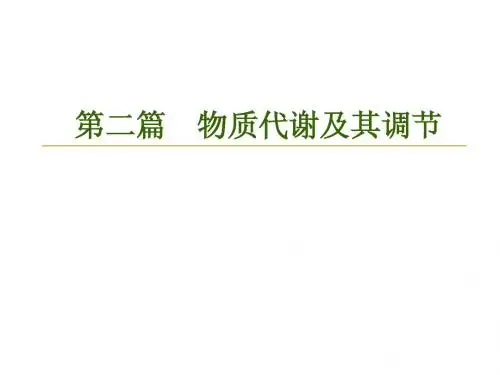 第04章糖代谢