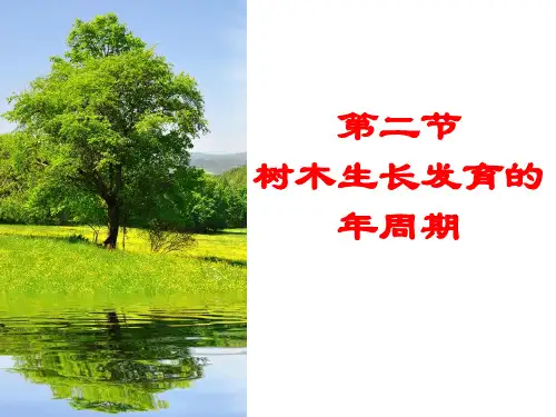 (园林树木栽培)第01章2节年生长发育周期