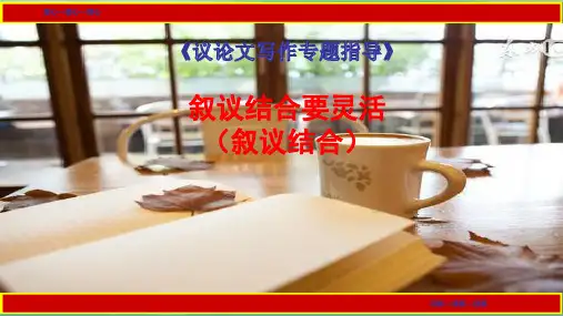 12叙议结合要灵活(叙议结合)