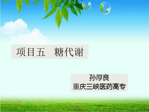6糖代谢