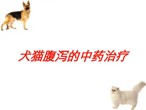 犬猫腹泻的中药治疗培训课件