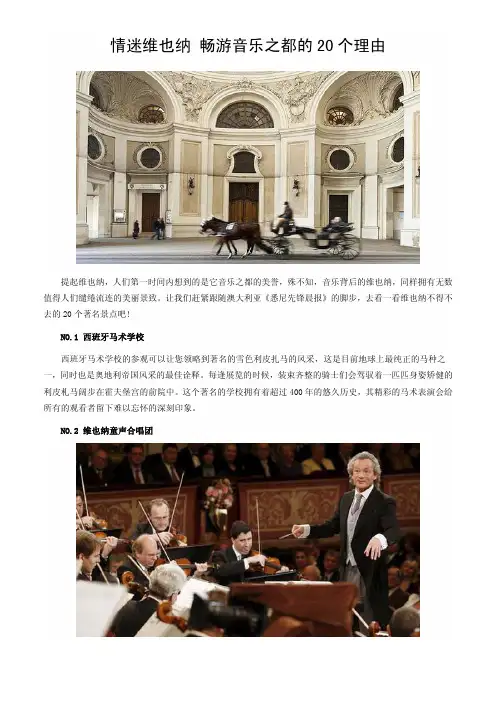 情迷维也纳 畅游音乐之都的20个理由