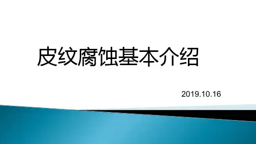 (完整版)皮纹腐蚀20191015