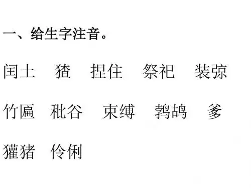 人教版六年级语文上册第五单元总复习