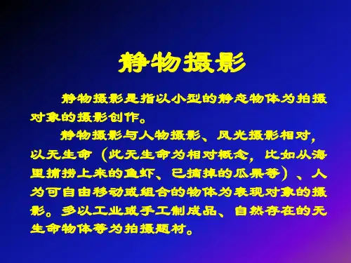 静物摄影ppt课件