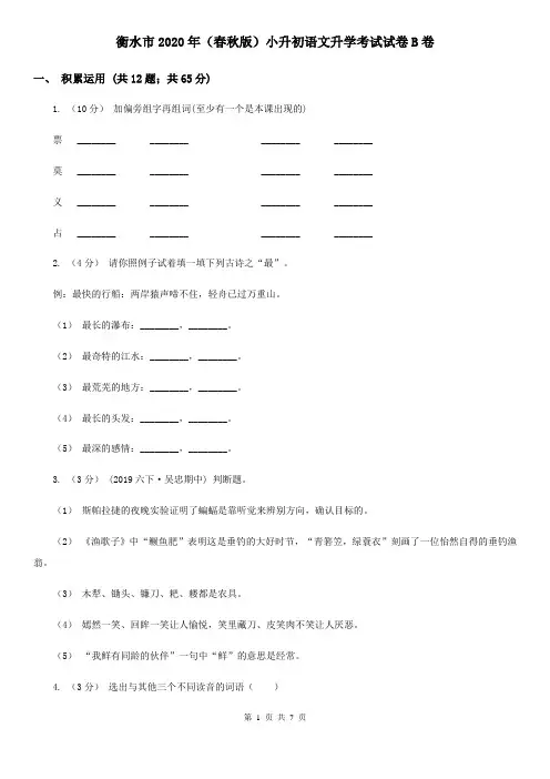 衡水市2020年(春秋版)小升初语文升学考试试卷B卷