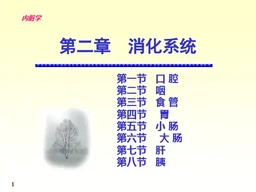 消化系统结构与功能