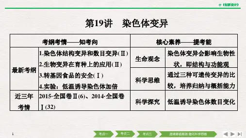 高考总复习 生物 (中图版) (25)[73页]