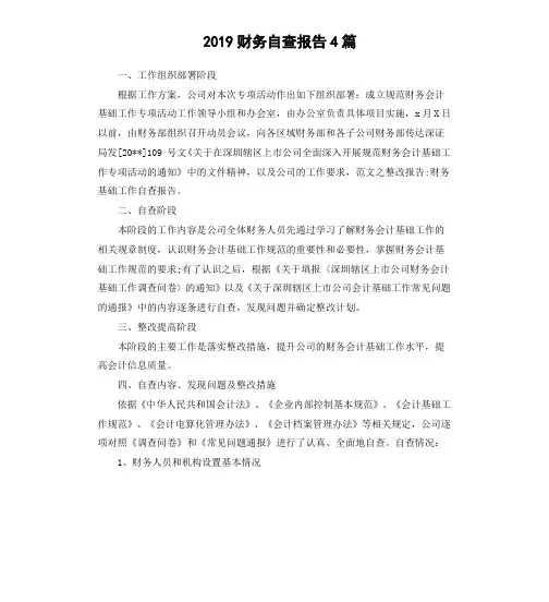 2019财务自查报告4篇