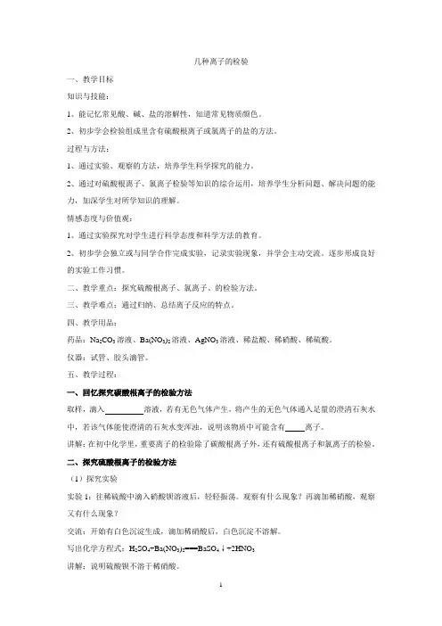 初中化学离子检验