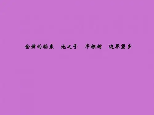 人教版高中一年级(高一)语文选修:中国现代诗歌散文欣赏金黄的稻束_课件2
