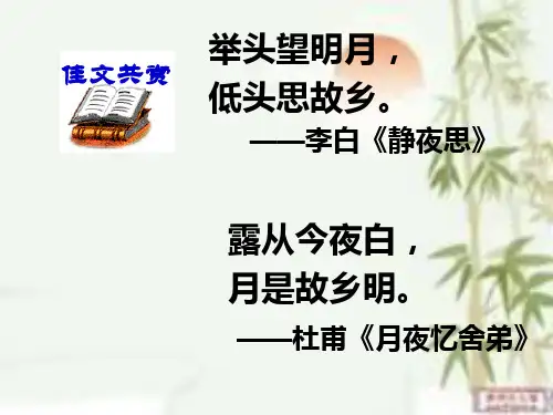 月是故乡明1