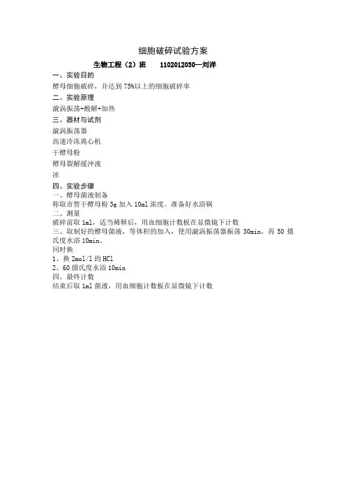 细胞破碎