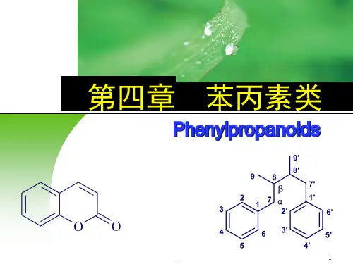 苯丙素类PPT课件