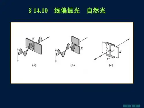 波动光学第五次课(2009)上课2