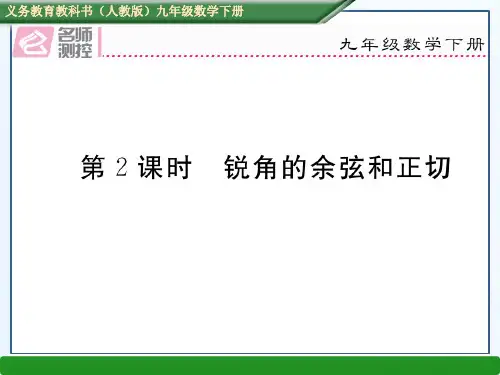 《锐角三角函数》ppt-优秀版3