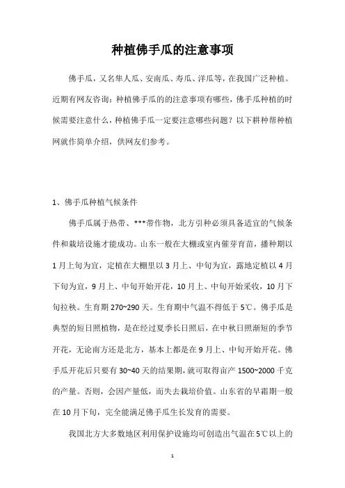 种植佛手瓜的注意事项