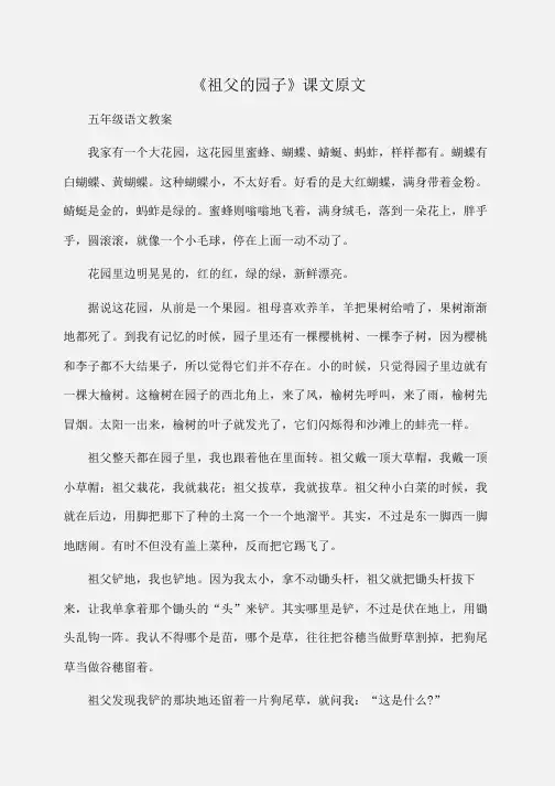 小学五年级语文《祖父的园子》课文原文