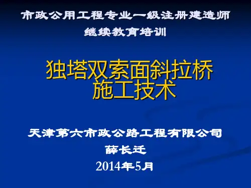 独塔双索面双层斜拉桥
