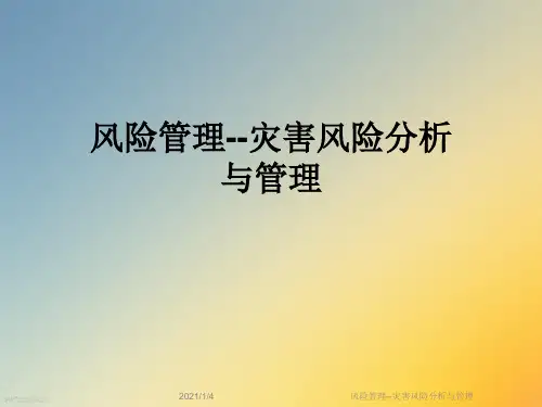 风险管理--灾害风险分析与管理
