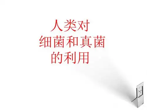 人类对细菌和真菌的利用