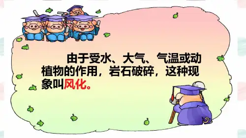 小学科学土壤中有什么课件ppt