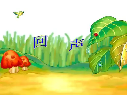 《回声》2精品PPT课件