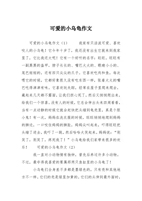 小学二年级作文：可爱的小乌龟作文