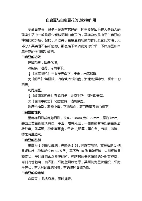 白扁豆与白扁豆花的功效和作用