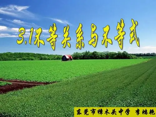 (精品)不等关系与不等式