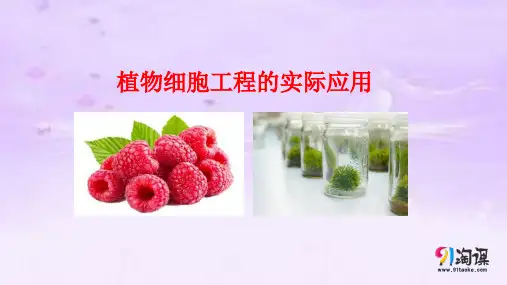 课件11: 2.1.2 植物细胞工程的实际应用