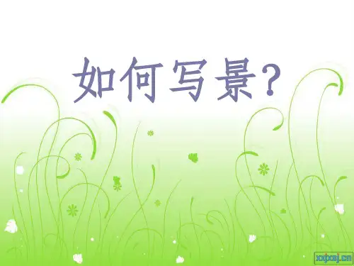 四年级上第一单元作文