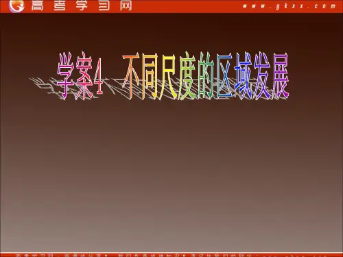 Z一轮课件不同尺度区域发展