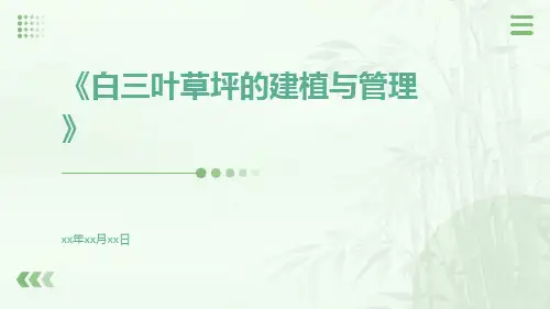 白三叶草坪的建植与管理