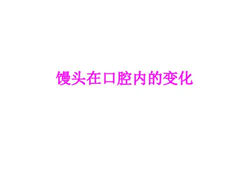 馒头在口腔内变甜的 实验