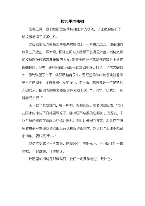 三年级作文：校园里的柳树作文450字