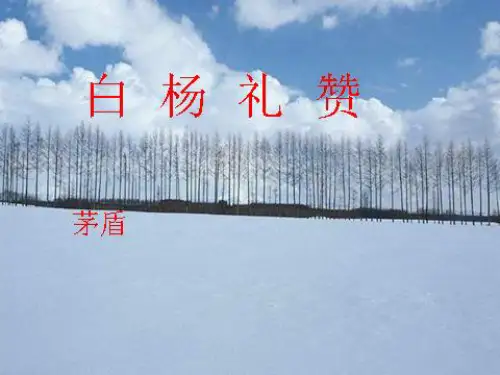 语文人教版(部编)八年级上册《14白杨礼赞》课件公开课(56)