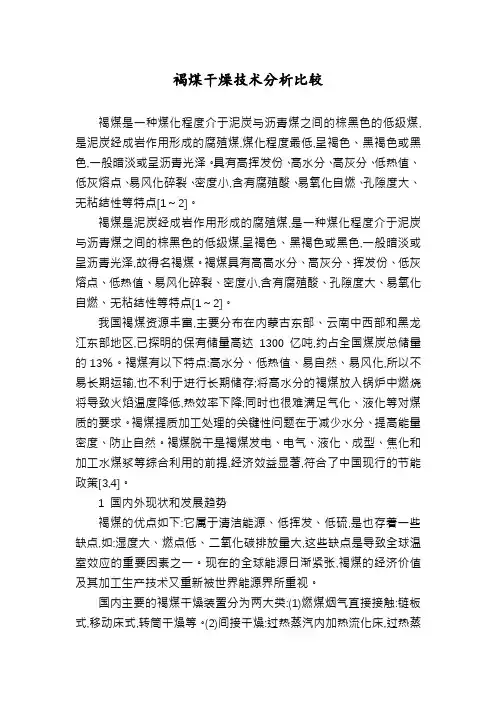褐煤干燥技术分析比较