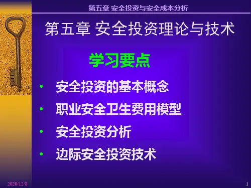 第五章安全投资与安全成本分析